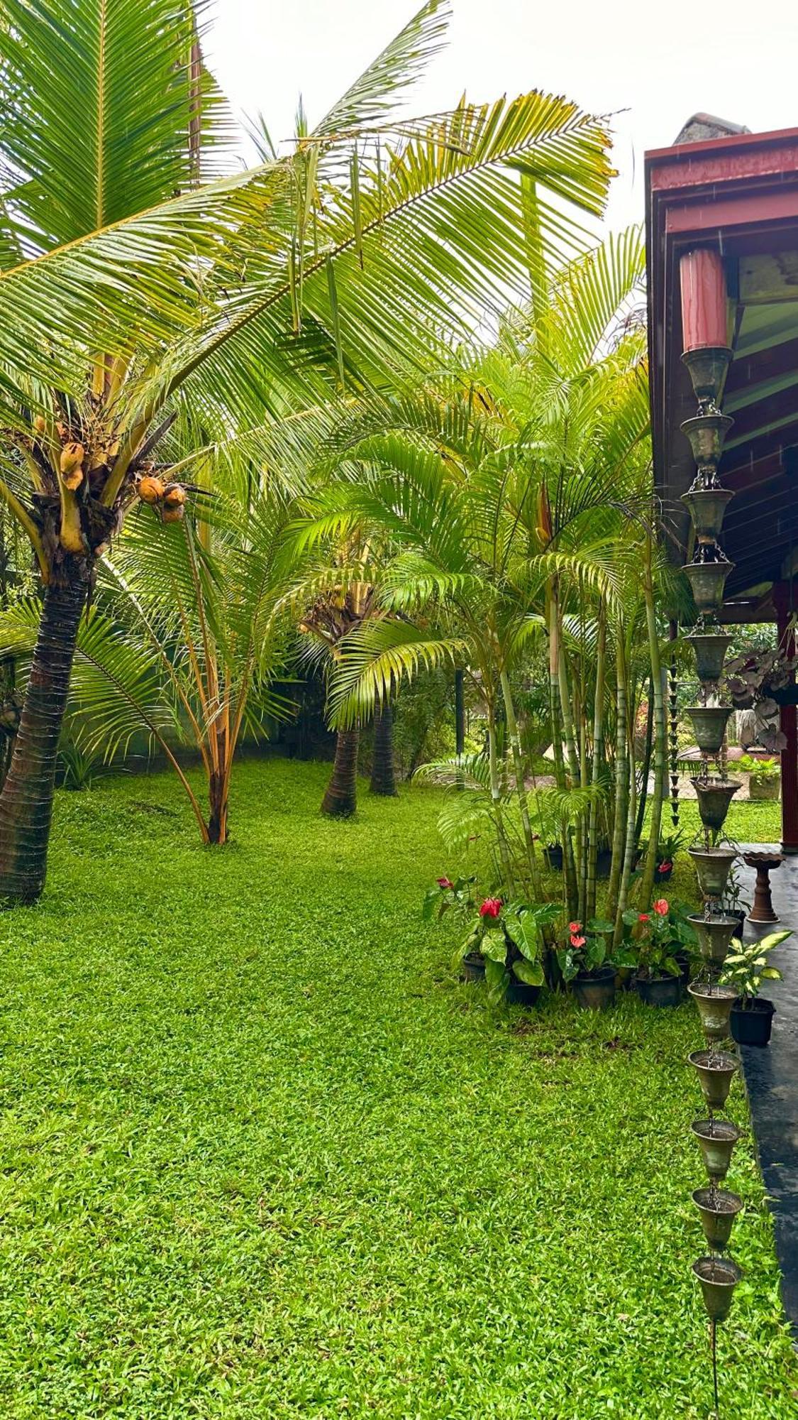 Jasmin Homestay Marakolliya Tangalle Eksteriør billede