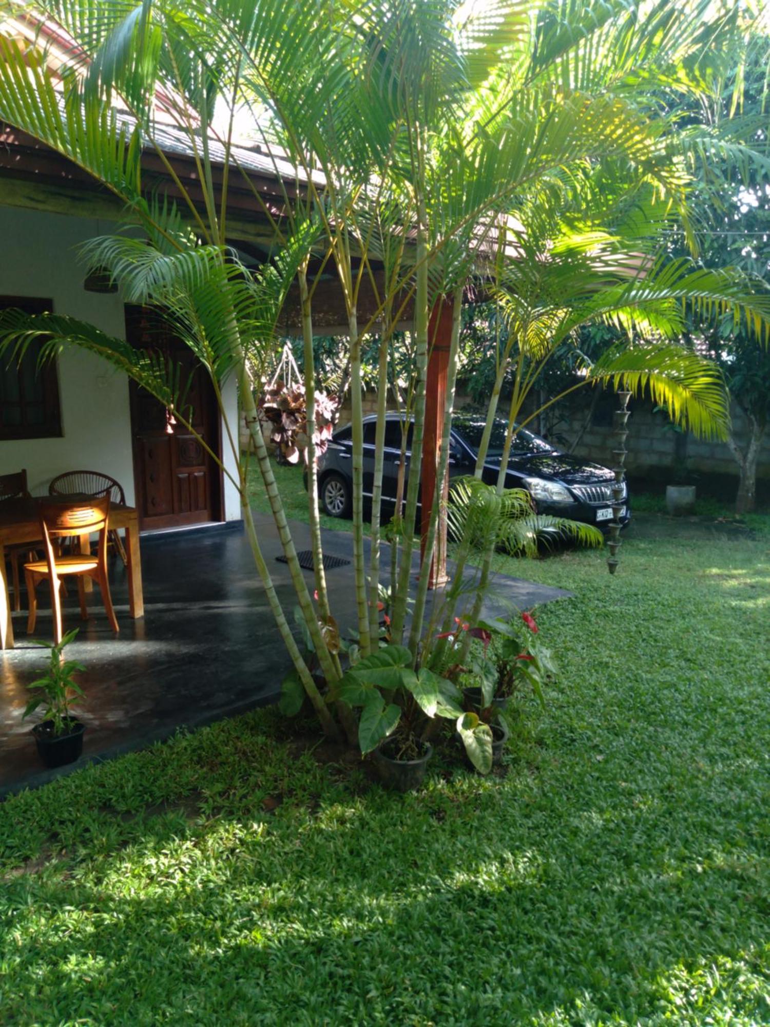 Jasmin Homestay Marakolliya Tangalle Eksteriør billede
